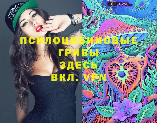крисы Абдулино