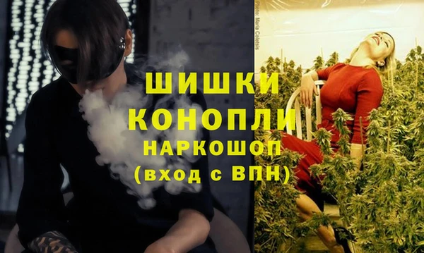 крисы Абдулино