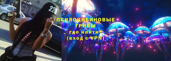 крисы Абдулино