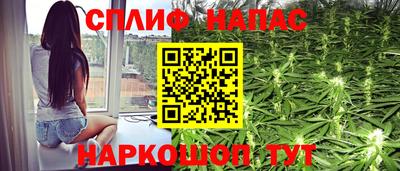ECSTASY Гусев