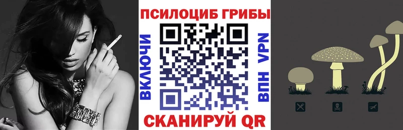 Псилоцибиновые грибы MAGIC MUSHROOMS  где купить наркоту  Новочеркасск 