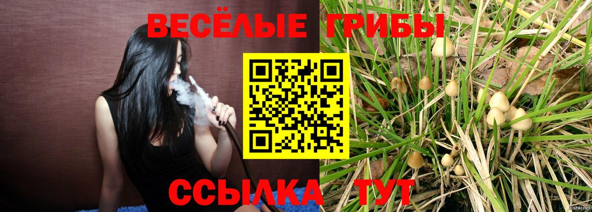 Галлюциногенные грибы MAGIC MUSHROOMS  Вход с VPN  Новочеркасск  Галлюциногенные грибы MAGIC MUSHROOMS 