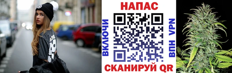 Бошки Шишки OG Kush  mega ссылки  Новочеркасск 